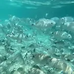 Monolocale Da Andrea Lägenhet Custonaci